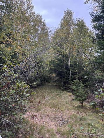 M20L2 East Side Road Addison ME 04606