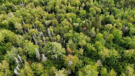 M20L2 East Side Road Addison ME 04606