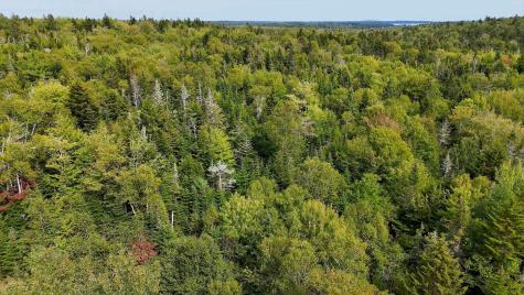 M20L2 East Side Road Addison ME 04606