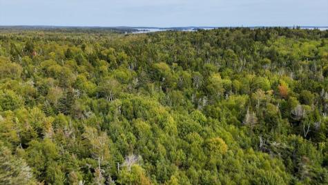 M20L2 East Side Road Addison ME 04606