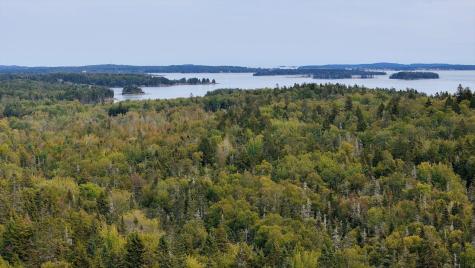 M20L2 East Side Road Addison ME 04606