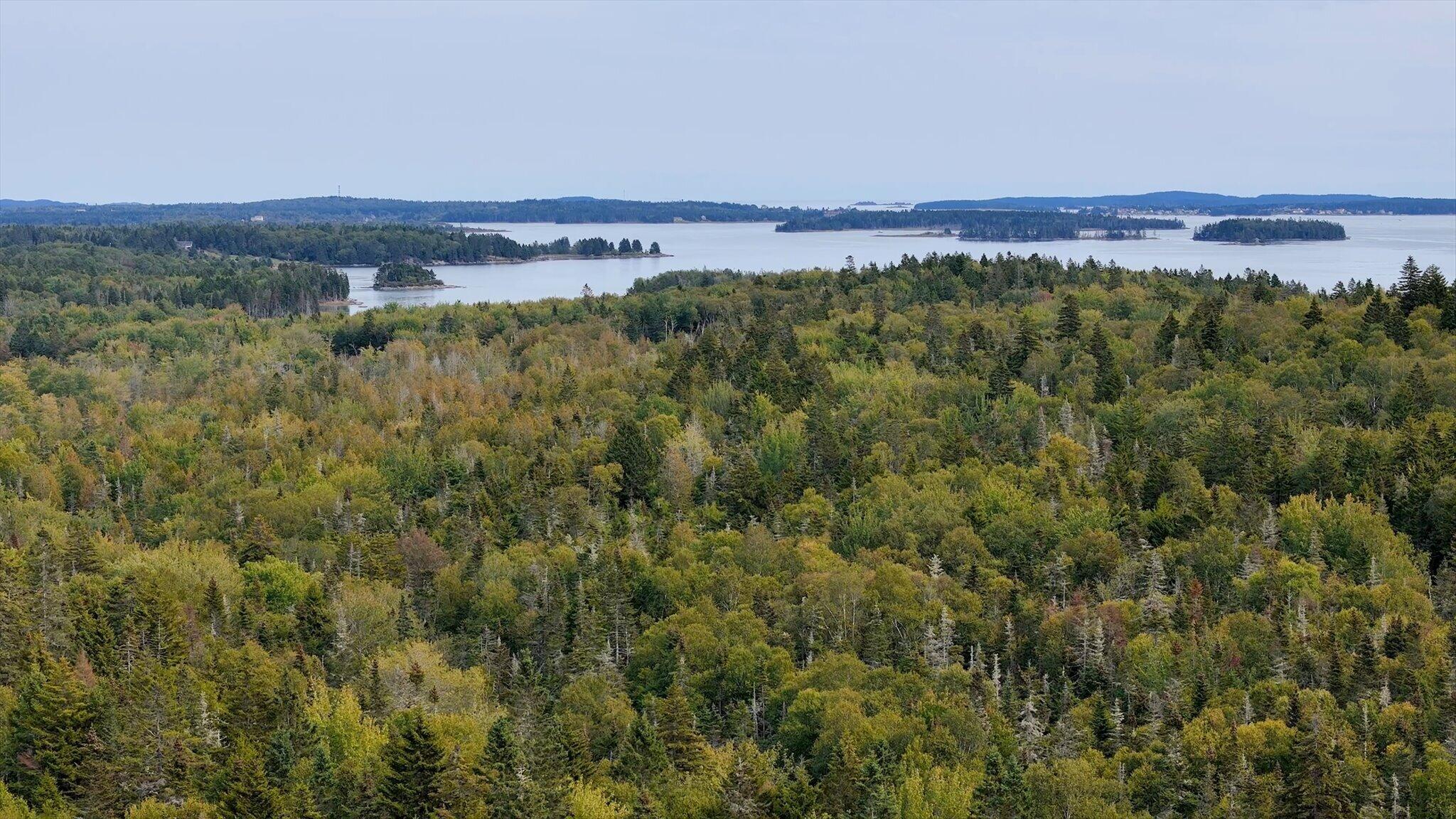 M20l2 East Side Road Addison ME 04606