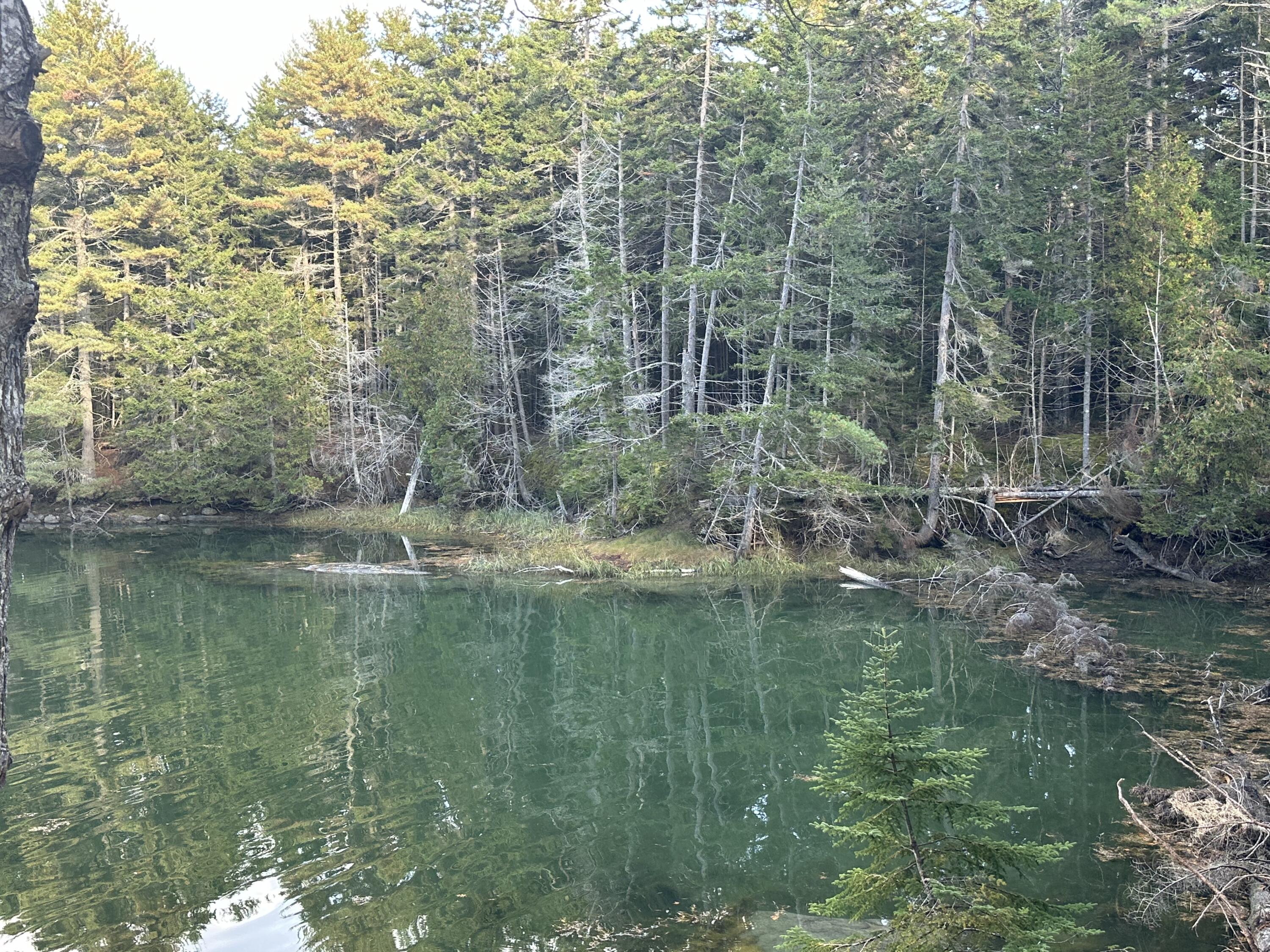 0 Rock Cove Lane Harpswell ME 04079