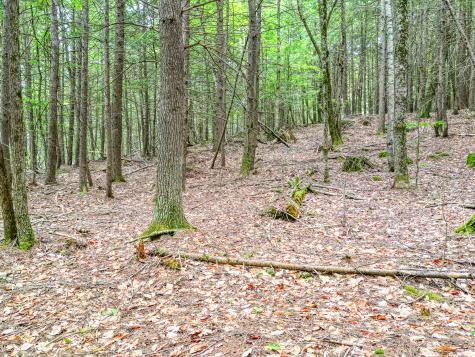 0 Osprey Point Belgrade ME 04917