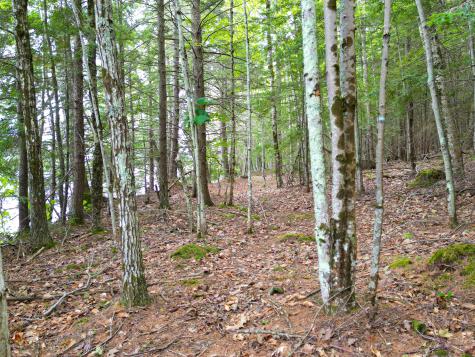 0 Osprey Point Belgrade ME 04917