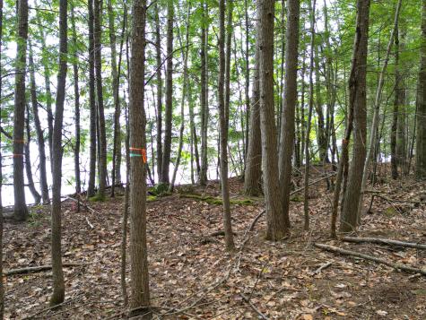 0 Osprey Point Belgrade ME 04917