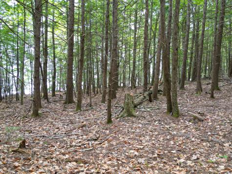 0 Osprey Point Belgrade ME 04917