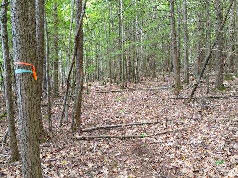 0 Osprey Point Belgrade ME 04917