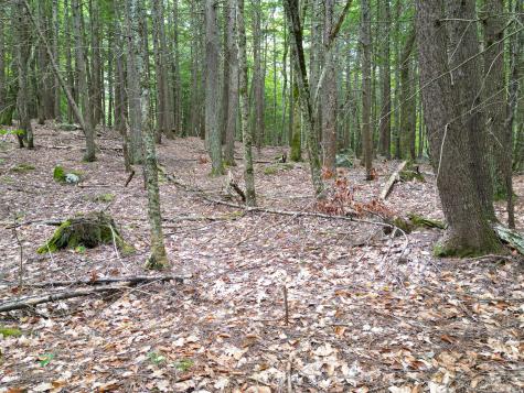 0 Osprey Point Belgrade ME 04917