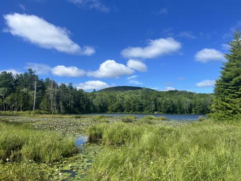 0 Pine Hill Lane Blue Hill ME 04614