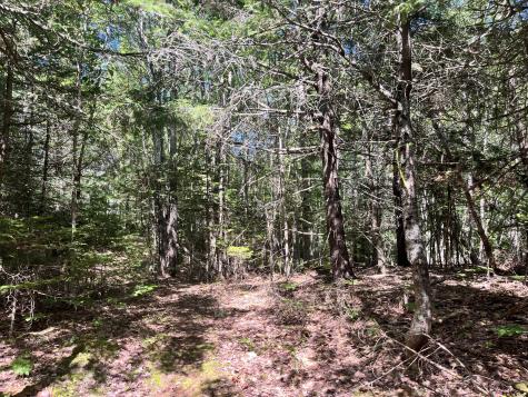 0 Pine Hill Lane Blue Hill ME 04614