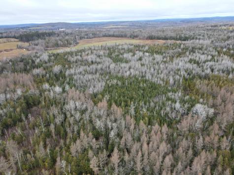 481 Plante Road Caribou ME 04736