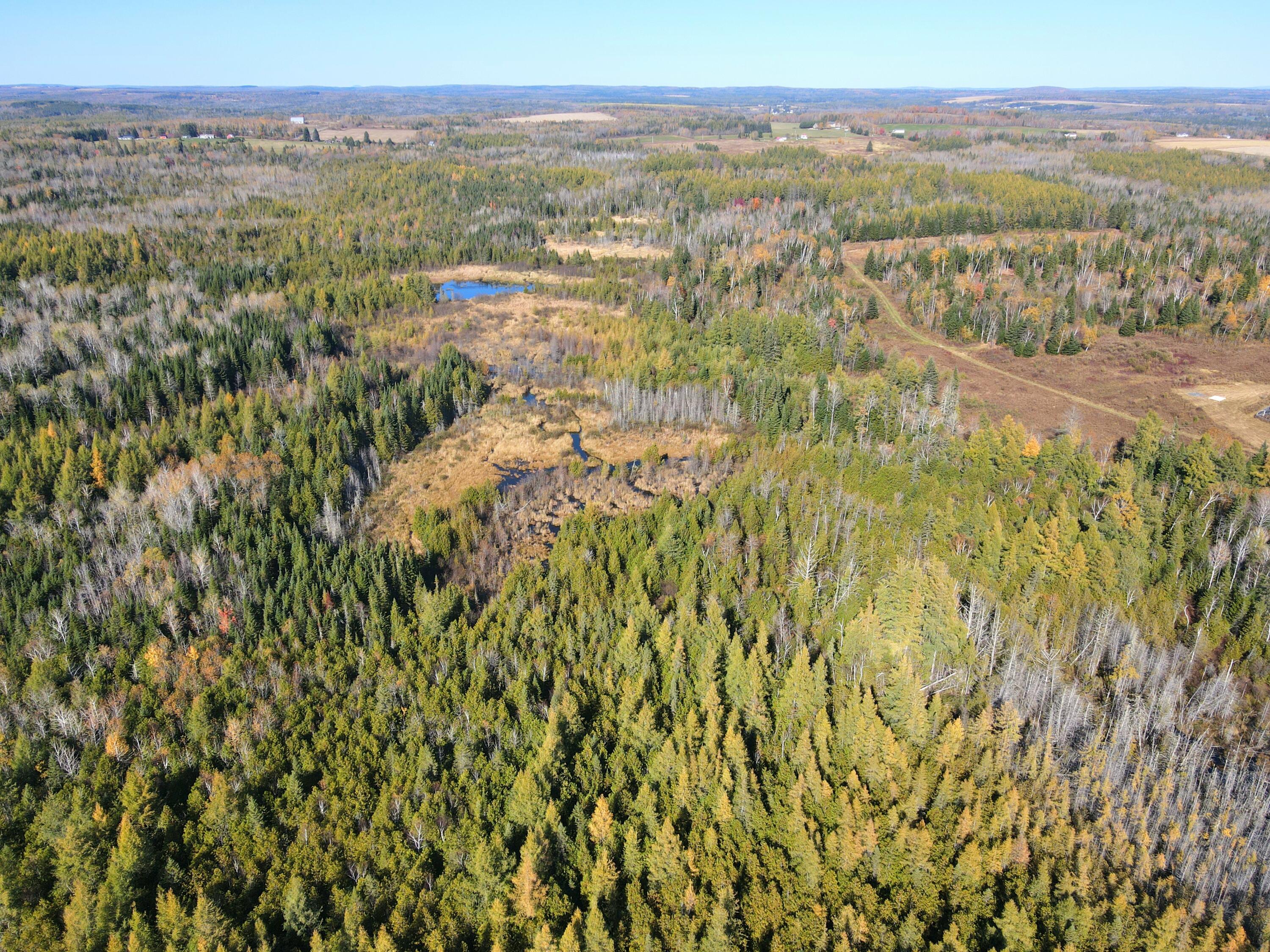 481 Plante Road Caribou ME 04736