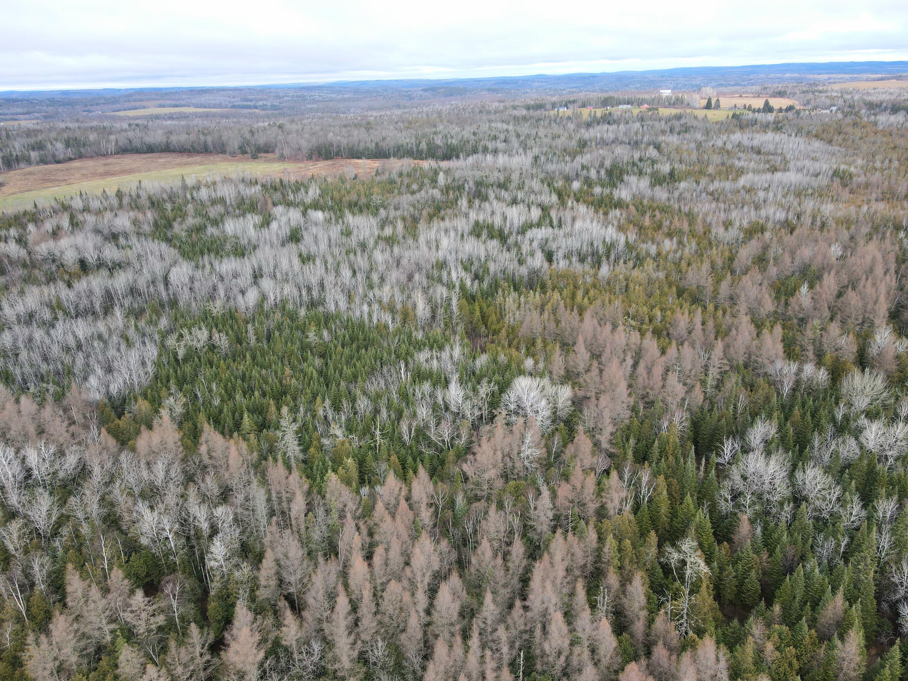 481 Plante Road Caribou ME 04736