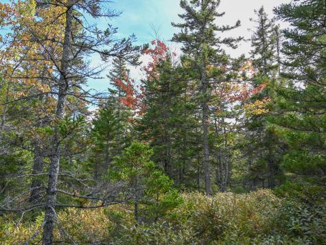 000 Seawall Map/lot 17/11-04 Southwest Harbor ME 04679