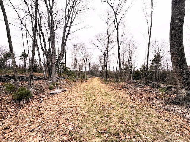 Map R2 Lot 53 Cape Road Limington ME 04049