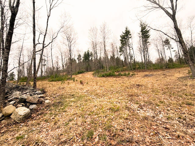 Map R2 Lot 53 Cape Road Limington ME 04049