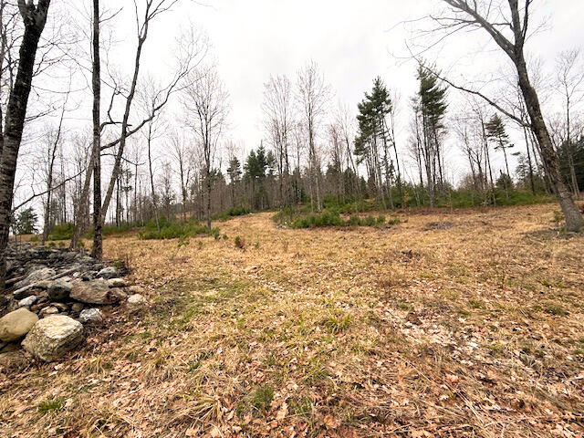 Map R2 Lot 53 Cape Road Limington ME 04049