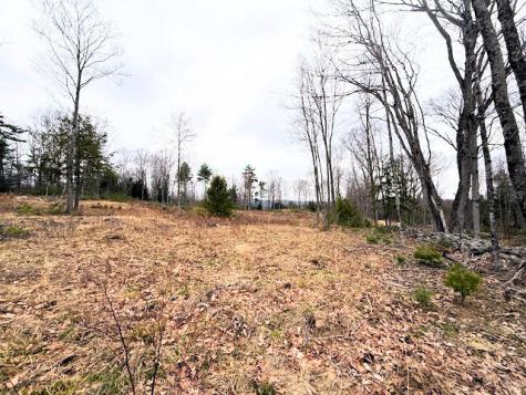 Map R2 Lot 53 Cape Road Limington ME 04049