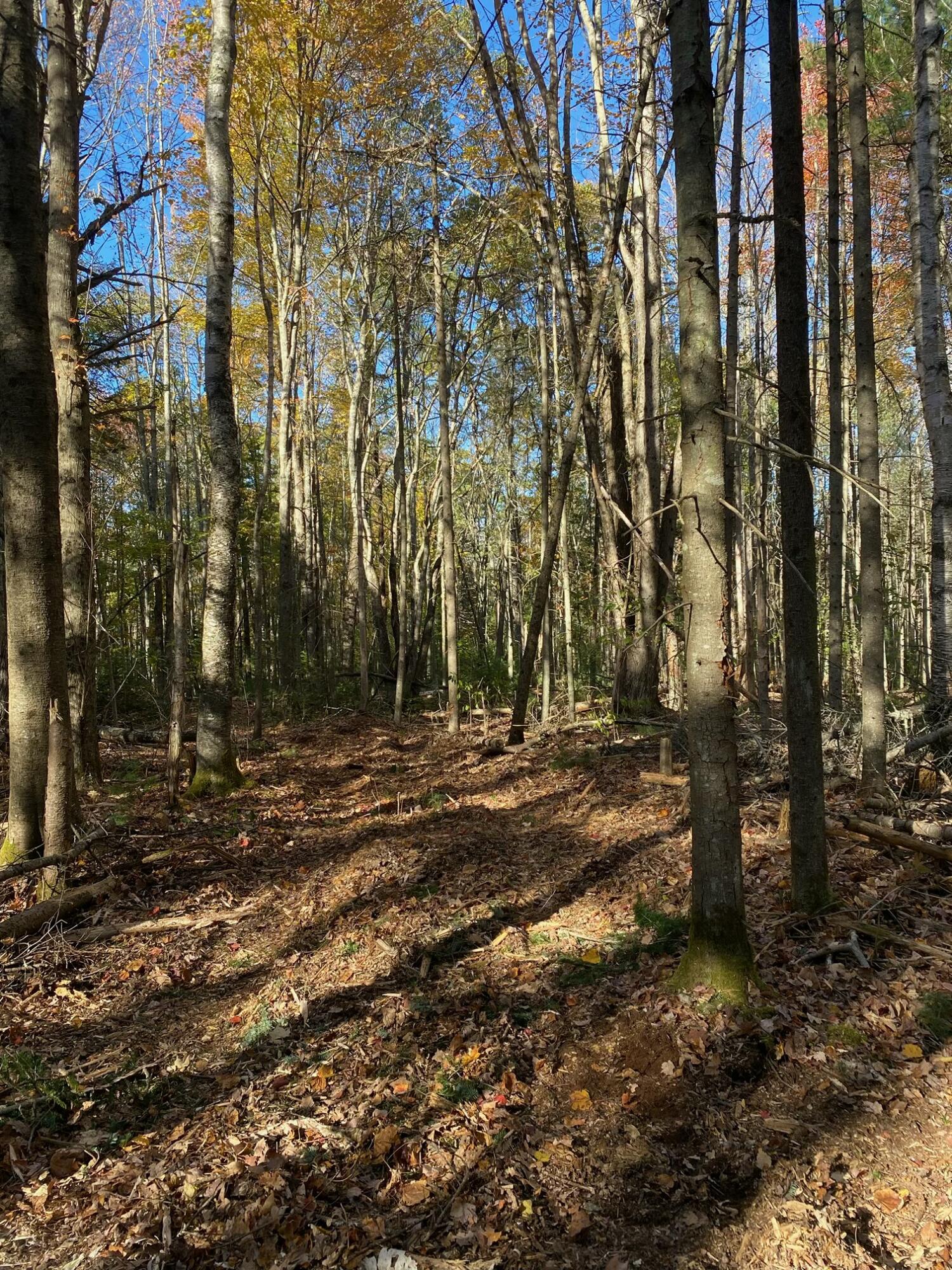 Tbd Log Cabin Road Kennebunkport ME 04046