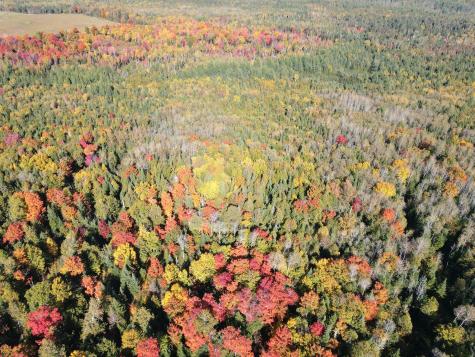 Lot 97A New Sweden Road New Sweden ME 04762