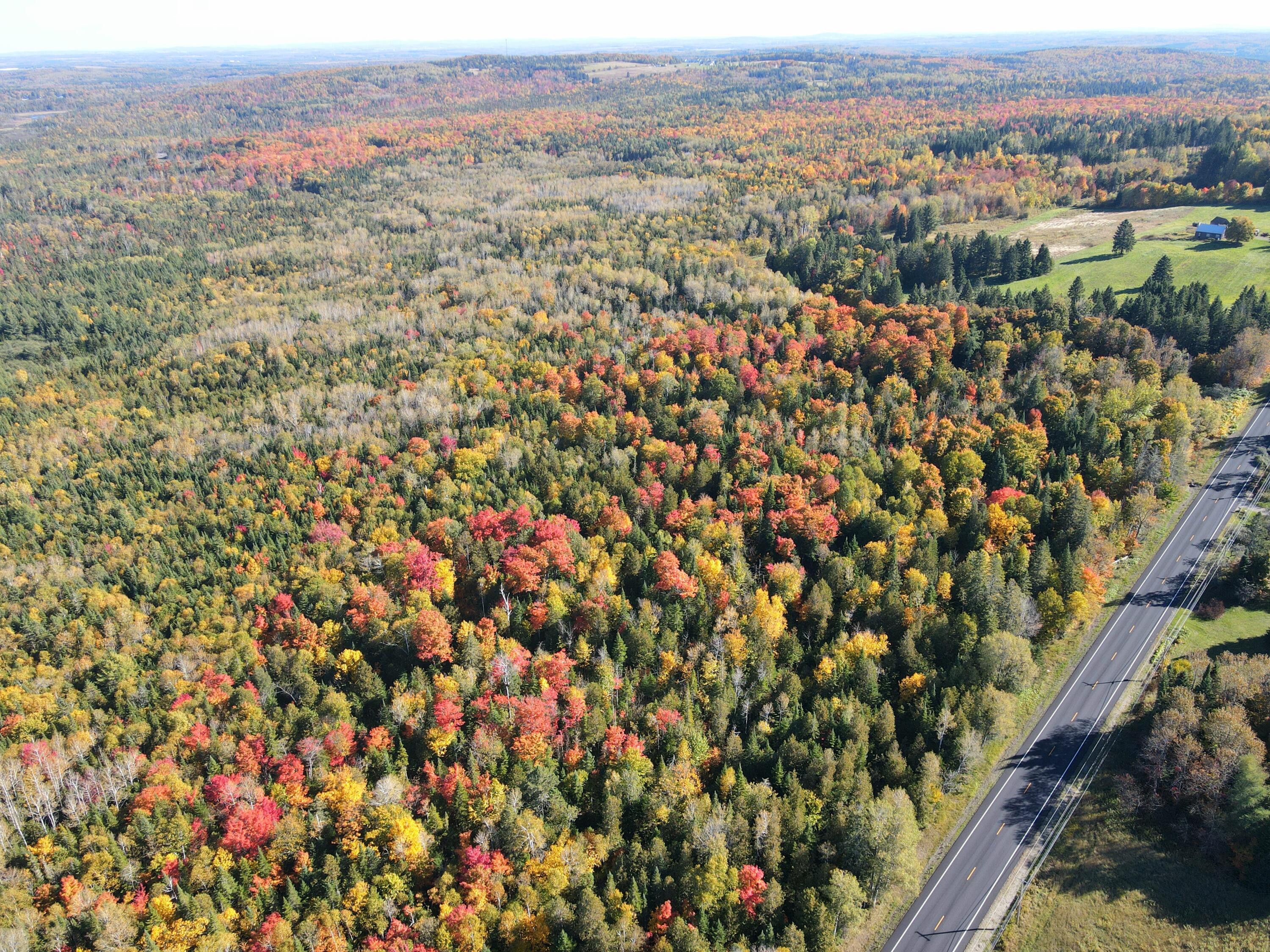 Lot 97a New Sweden Road New Sweden ME 04762