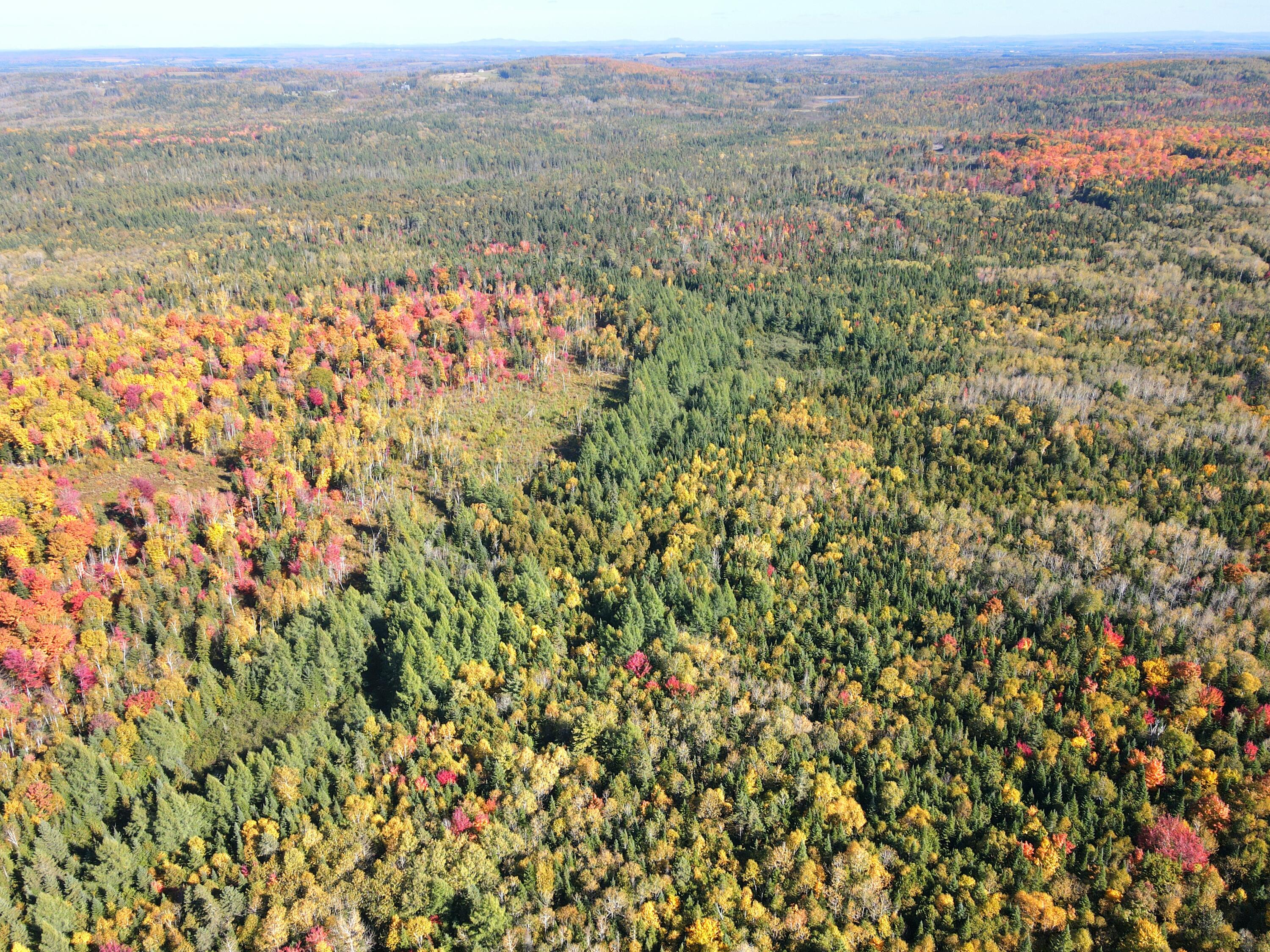 Lot 97a New Sweden Road New Sweden ME 04762