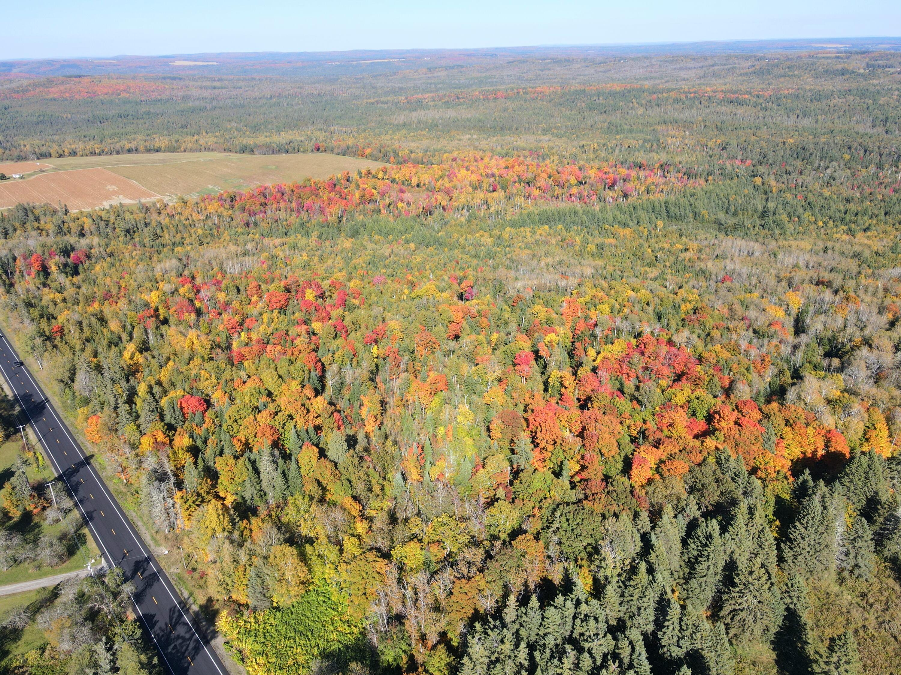 Lot 97a New Sweden Road New Sweden ME 04762