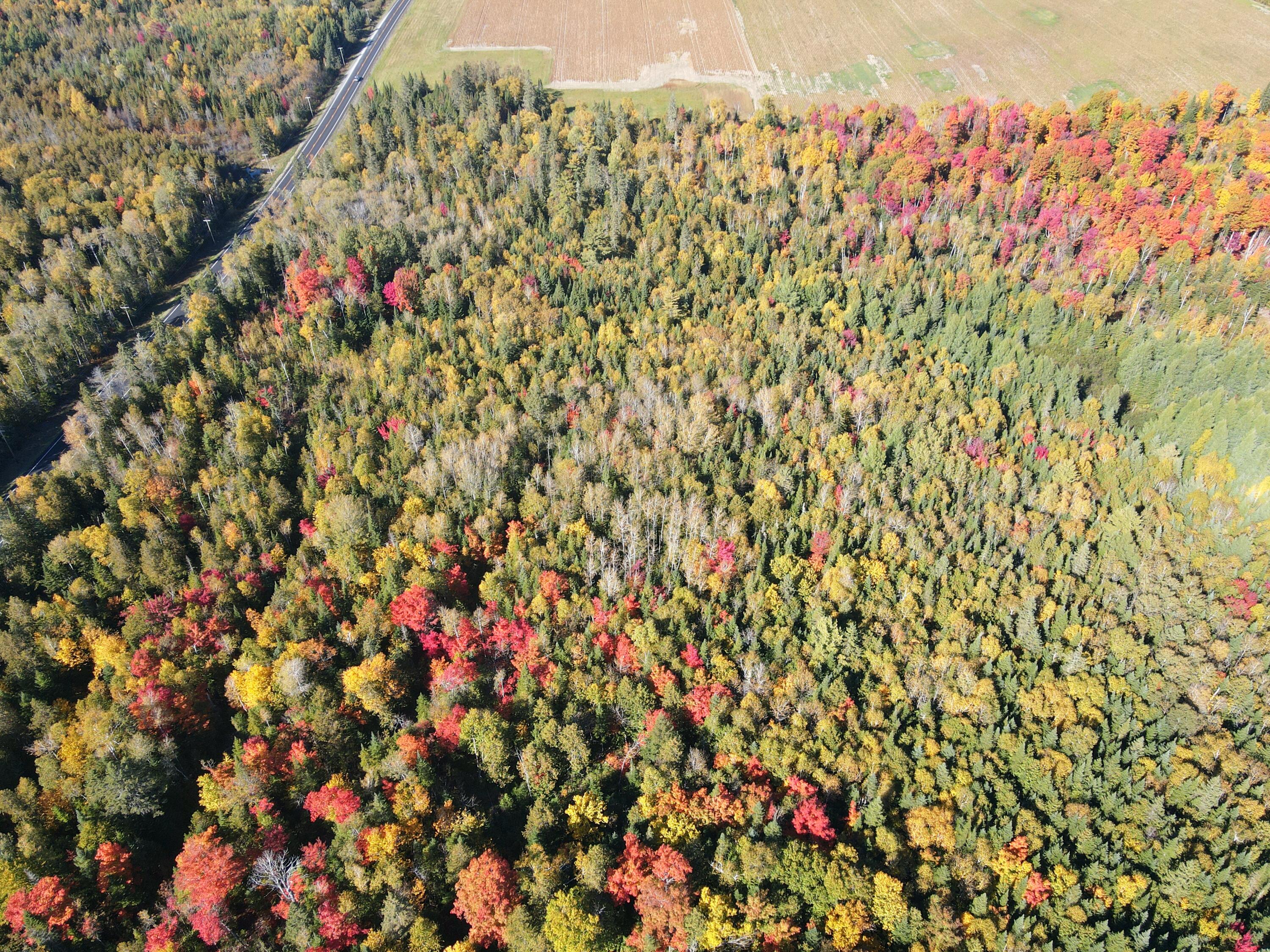 Lot 97a New Sweden Road New Sweden ME 04762