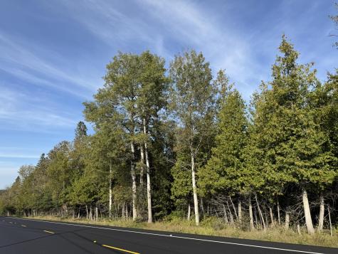 Lot 97A New Sweden Road New Sweden ME 04762