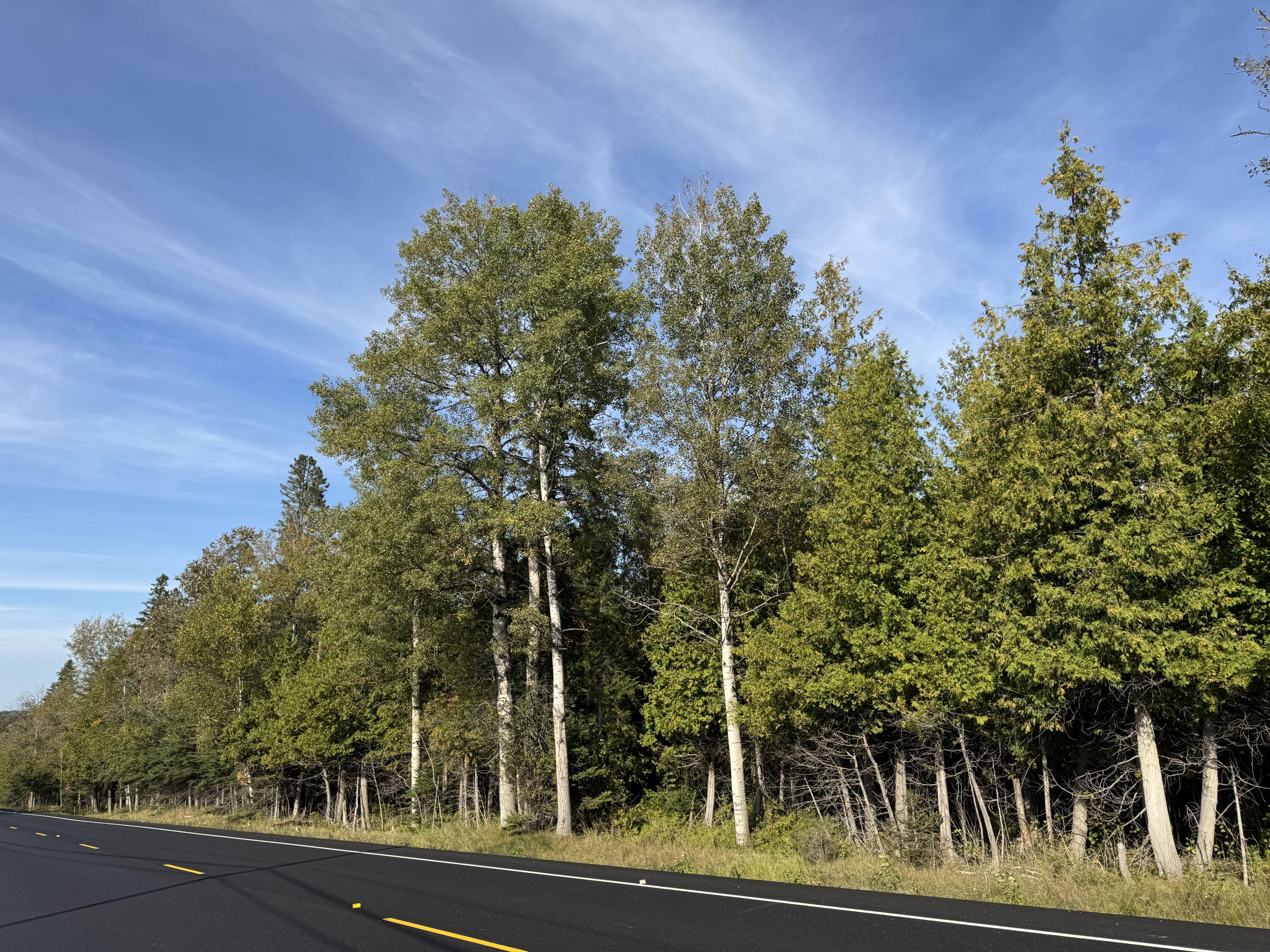 Lot 97a New Sweden Road New Sweden ME 04762