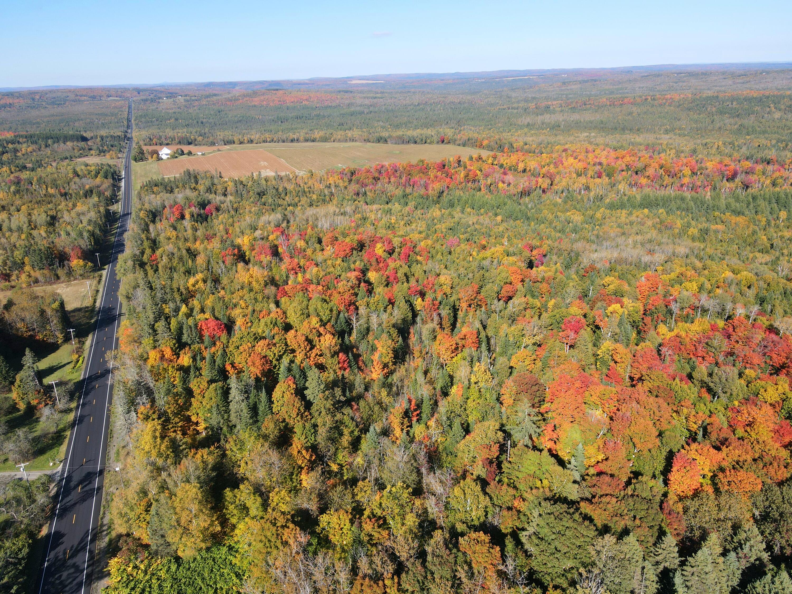 Lot 97a New Sweden Road New Sweden ME 04762