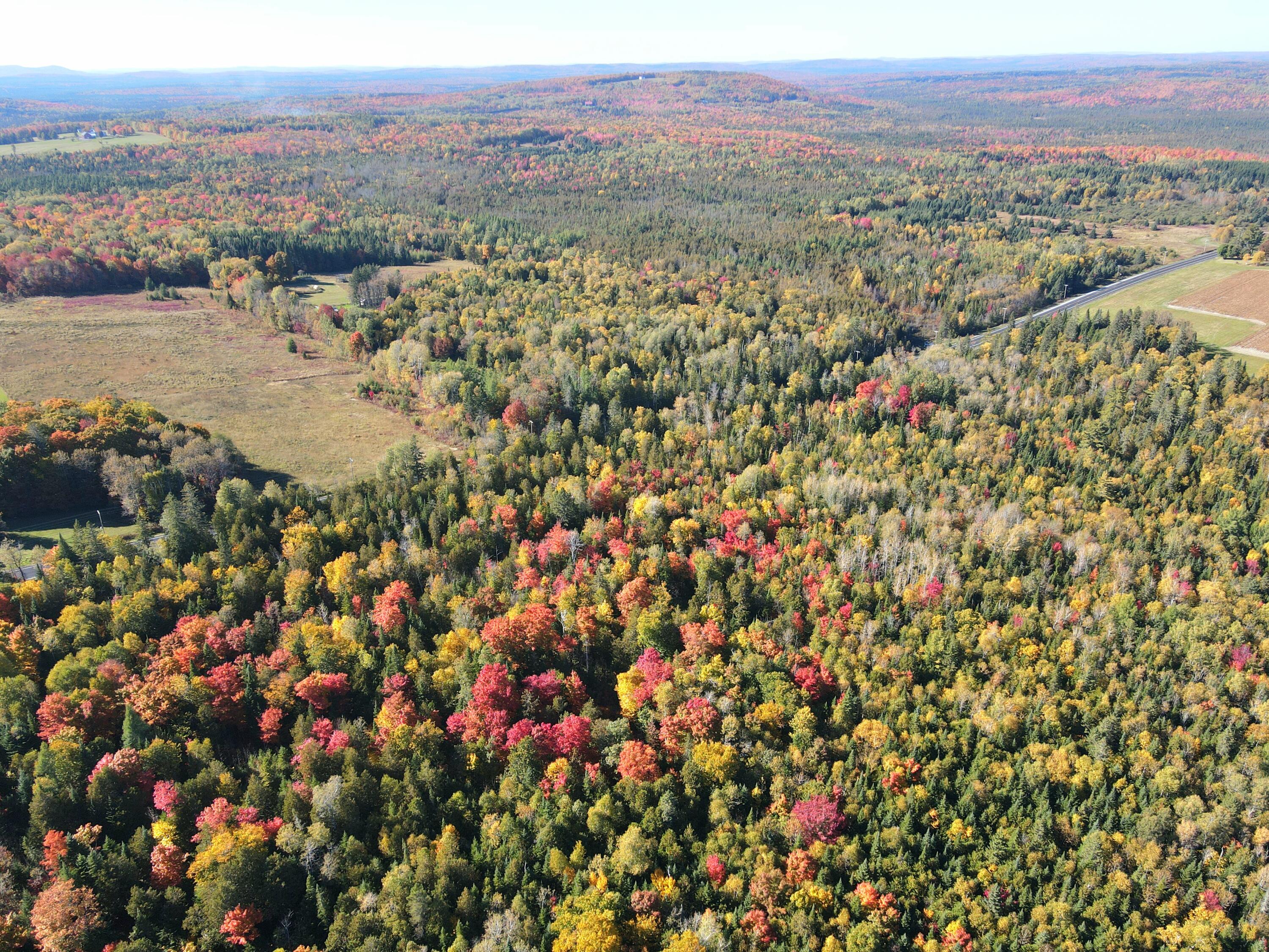 Lot 97a New Sweden Road New Sweden ME 04762