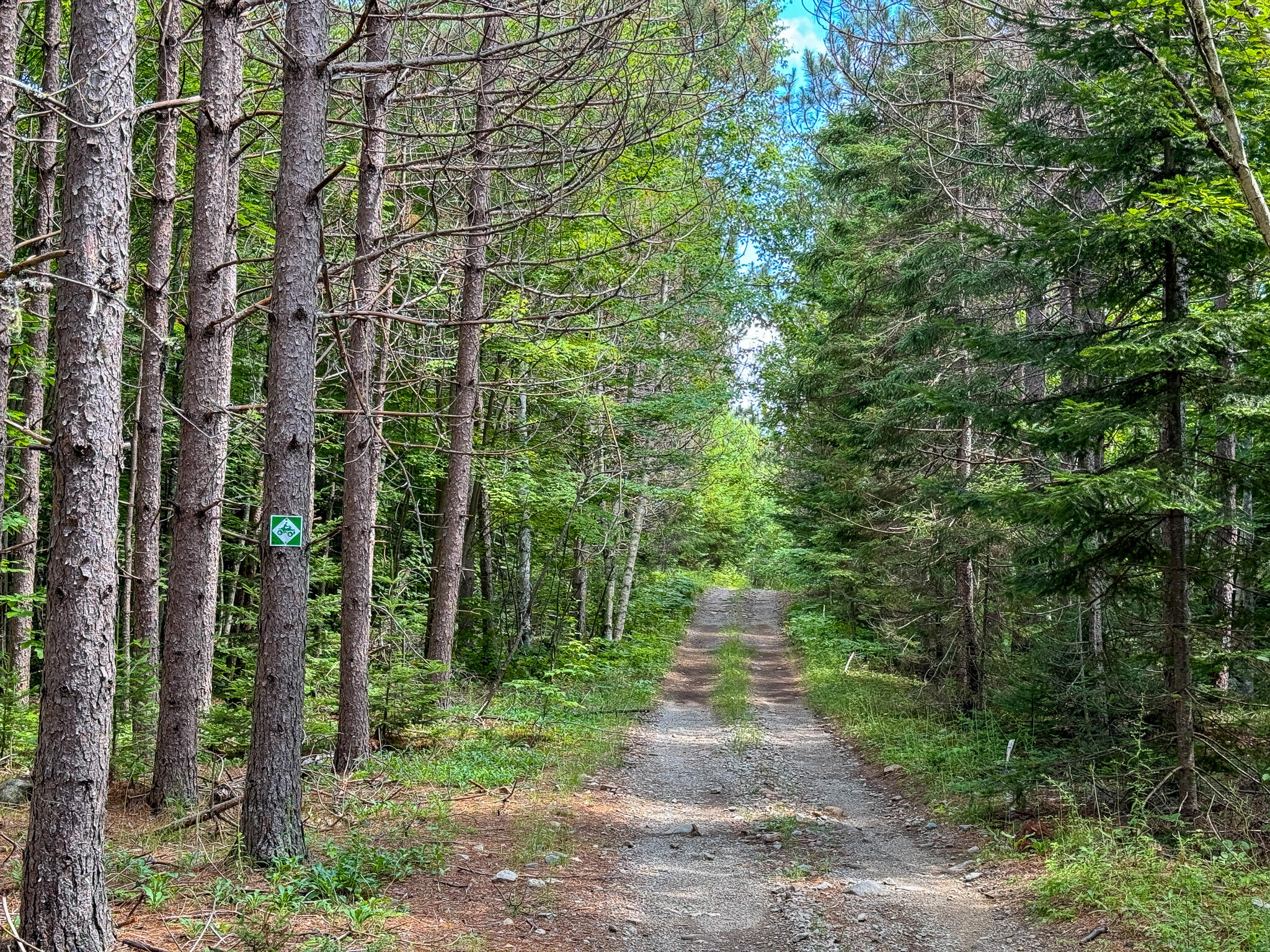 M2L1 Off Bear Hollow Road Robbinston ME 04671