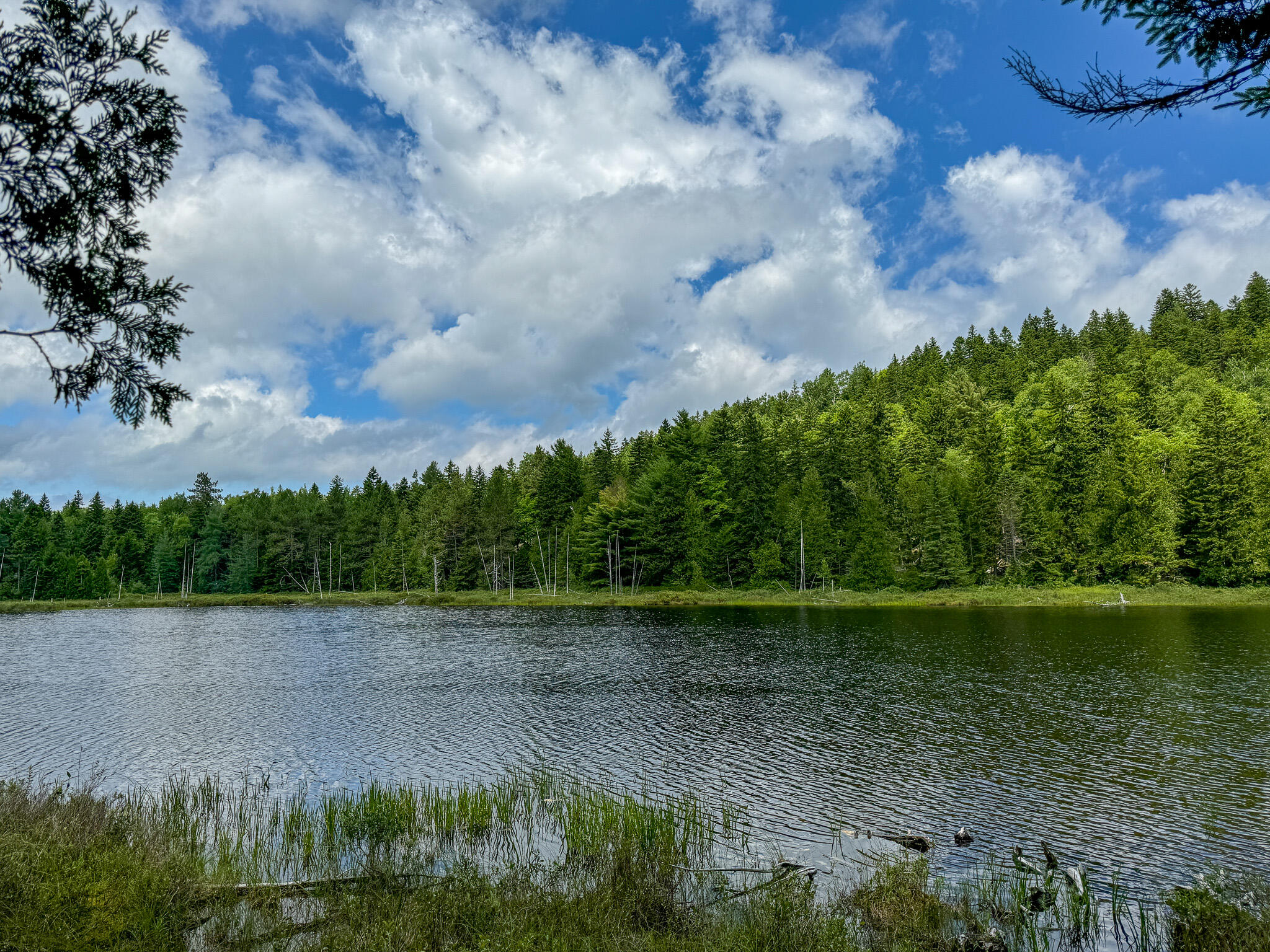 M2L1 Off Bear Hollow Road Robbinston ME 04671