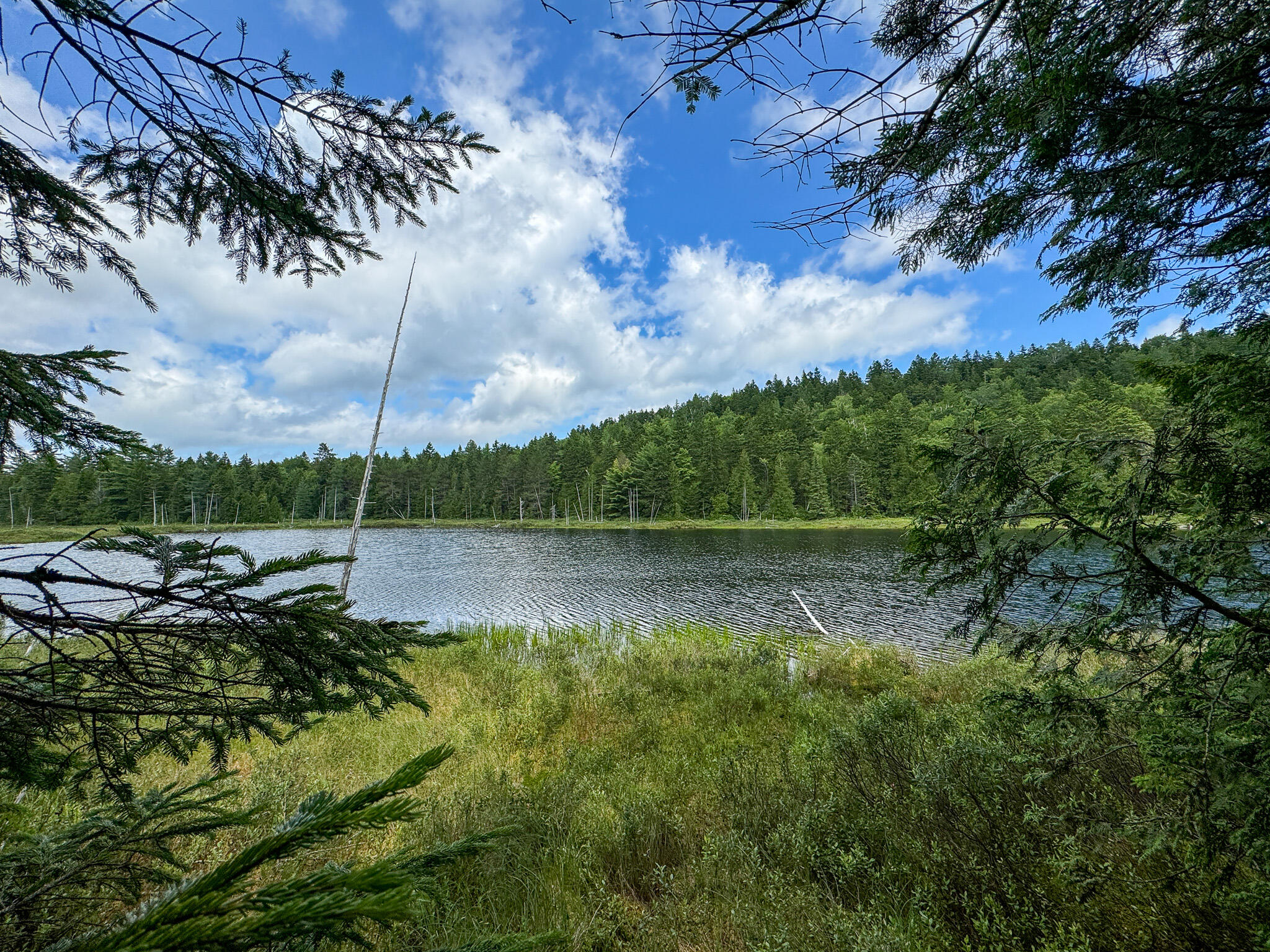 M2L1 Off Bear Hollow Road Robbinston ME 04671