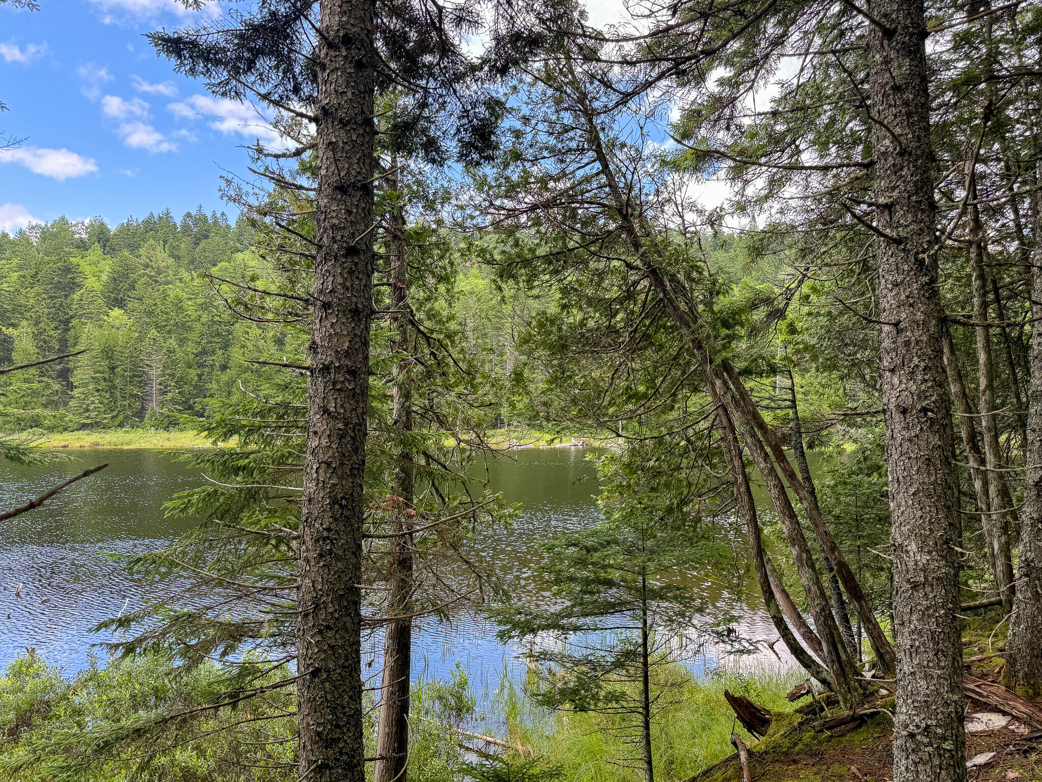 M2L1 Off Bear Hollow Road Robbinston ME 04671