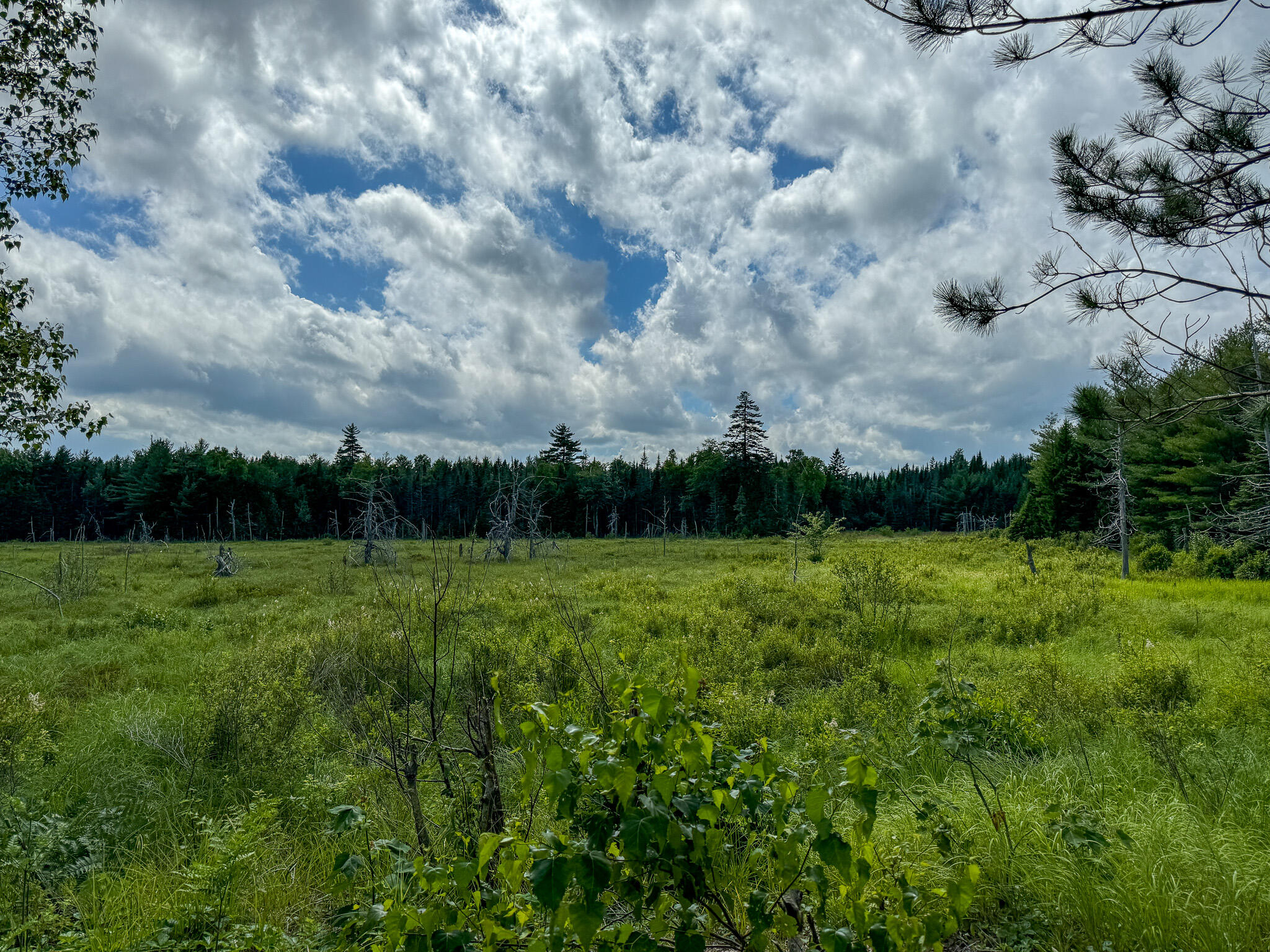 M2L1 Off Bear Hollow Road Robbinston ME 04671