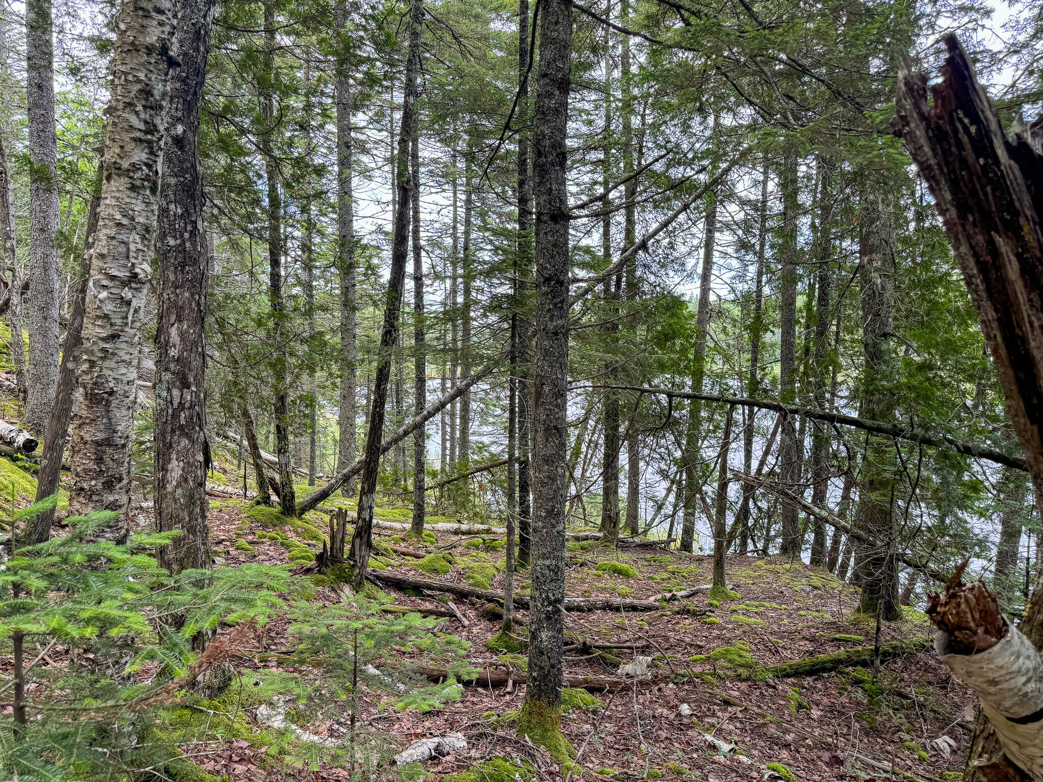 M2L1 Off Bear Hollow Road Robbinston ME 04671