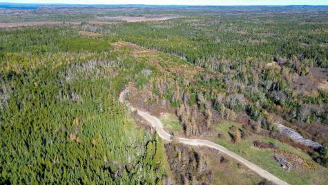 Lot 3 Holmes Bay Farm Whiting ME 04691