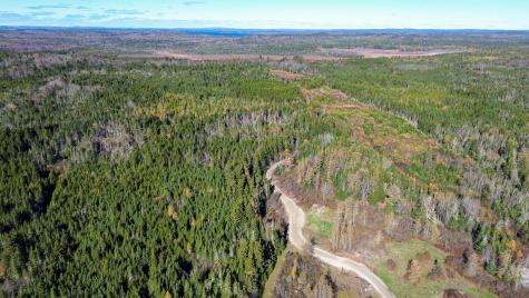 Lot 3 Holmes Bay Farm Whiting ME 04691