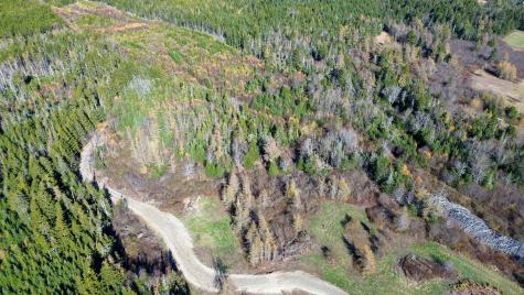 Lot 3 Holmes Bay Farm Whiting ME 04691