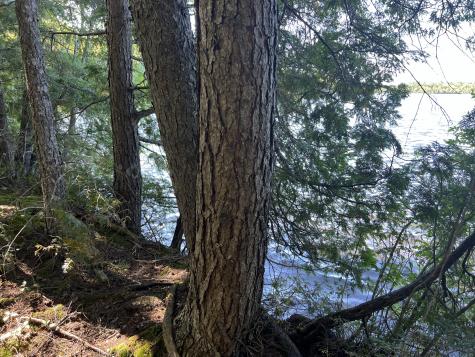 269 Egg Pond Road Lincoln ME 04457