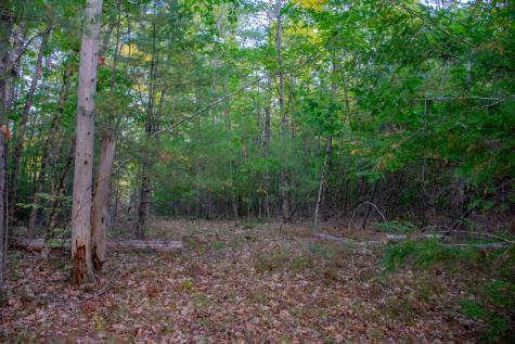 Tbd New Dam Road Waterboro ME 04061