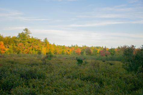 Tbd New Dam Road Waterboro ME 04061