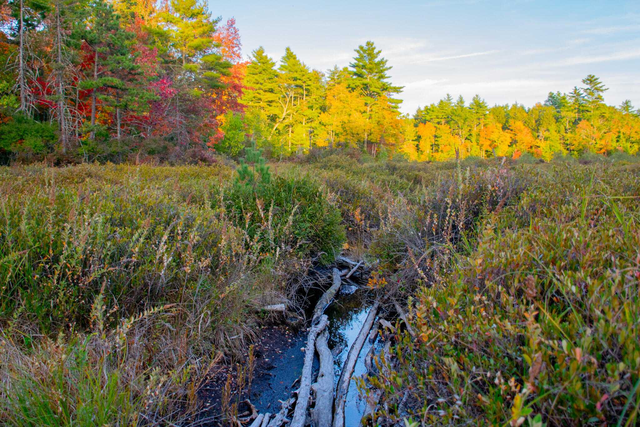 Tbd New Dam Road Waterboro ME 04061