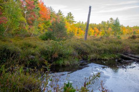 Tbd New Dam Road Waterboro ME 04061