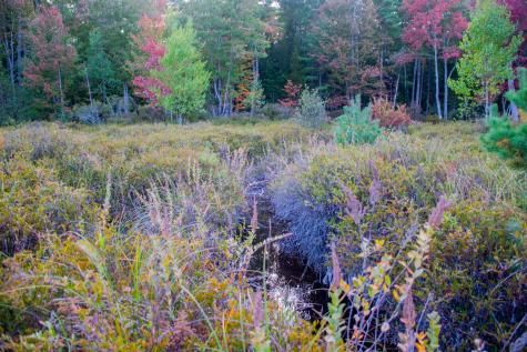 Tbd New Dam Road Waterboro ME 04061