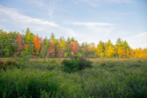 Tbd New Dam Road Waterboro ME 04061