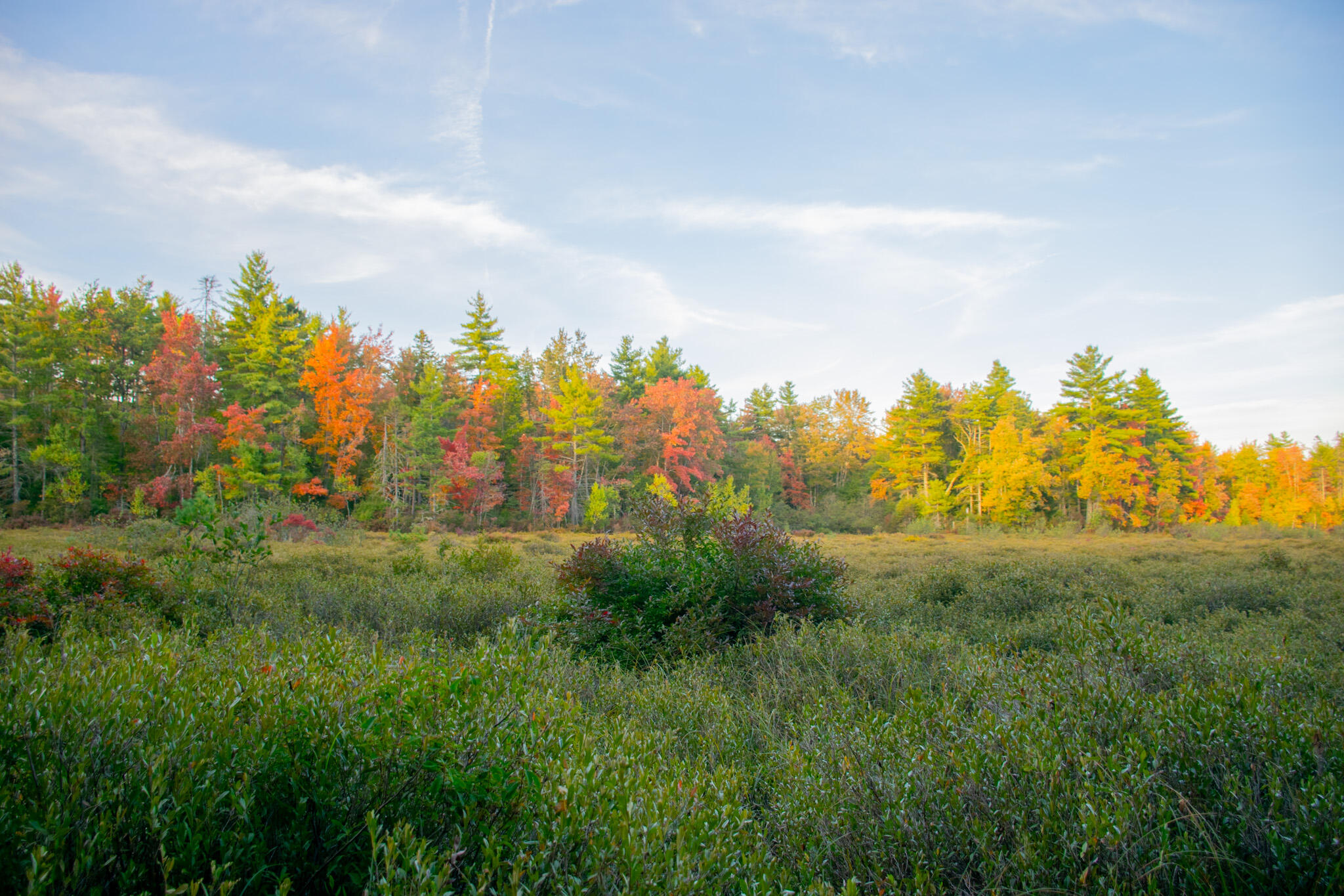 Tbd New Dam Road Waterboro ME 04061